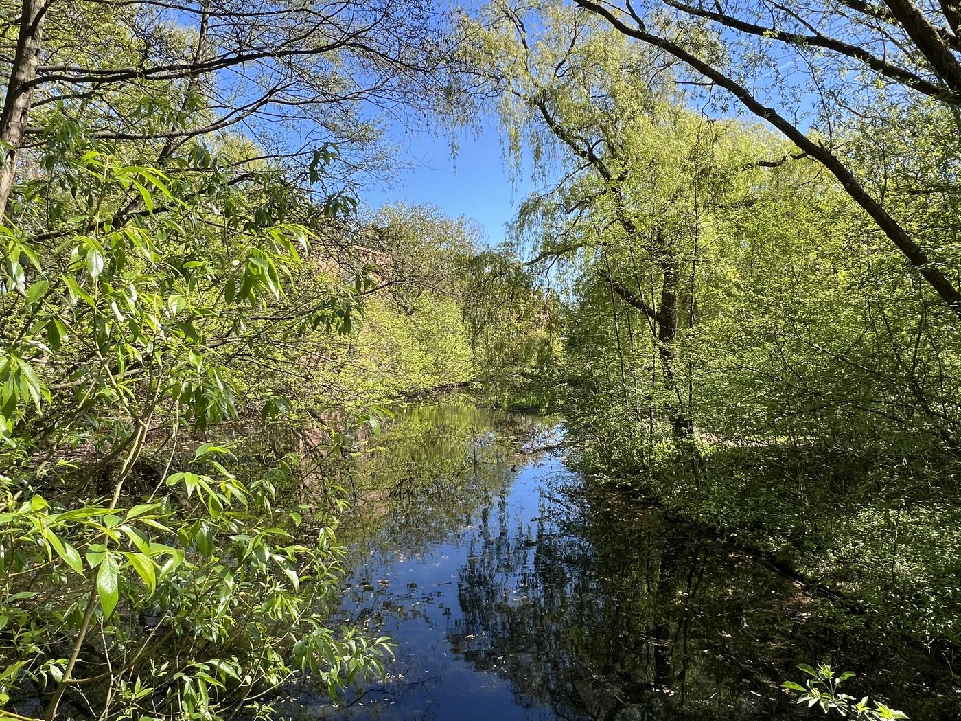 Lokstedter Grünzug — Wasserlauf