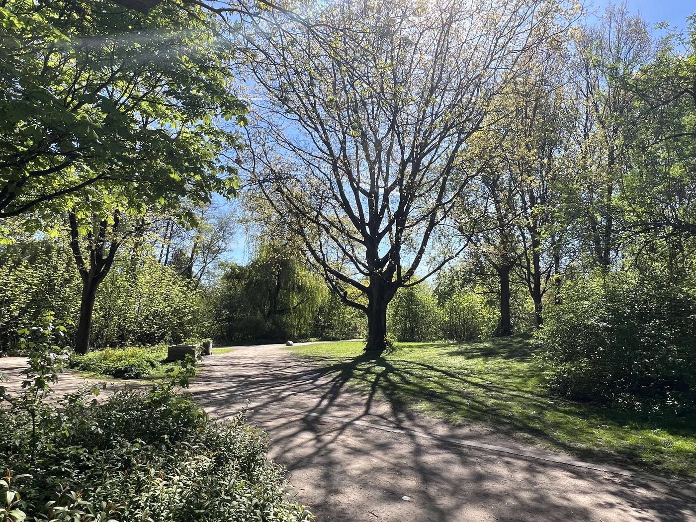 Lokstedter Grünzug — Spazierweg